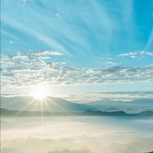 Meet your Posher, Fernando